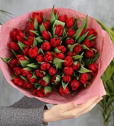Букет из 51 красных тюльпанов "Season of Us"