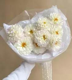 Букет из 9 светлых георгинов