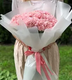 Букет из 11 нежных розовых гвоздик  в матовом оформлении