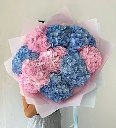 Букет из 9 Гортензий МОНО