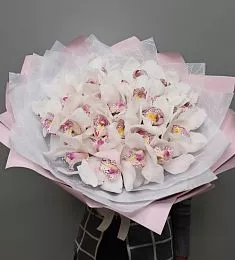 Букет из 25 белых орхидей 