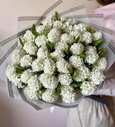 Букет из 25 белых гиацинтов