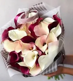 Букет из 29 белых и красных калл