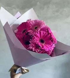 Букет из 21 фиолетовой герберы