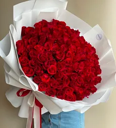 101 голландская роза 60 см в оформлении