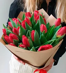 Букет из 25 красных тюльпанов "Fresh Morning"