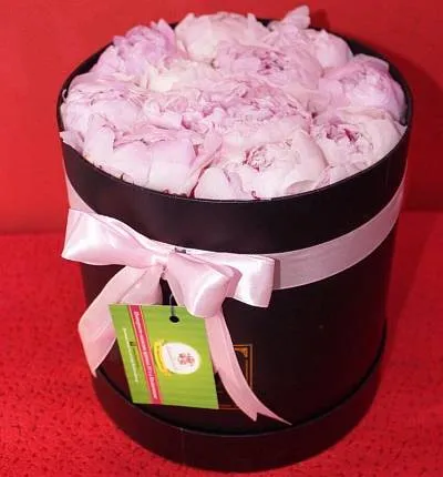 Голландские пионы в коробке Just for You 1