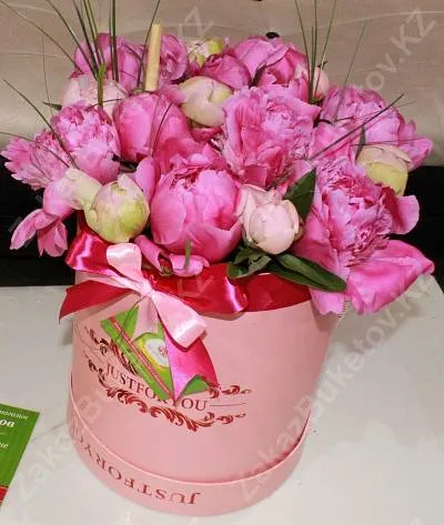 Голландские пионы в коробке Just for You 3
