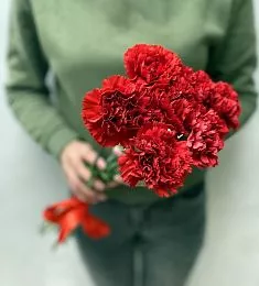 Букет из 7 гвоздик с лентой