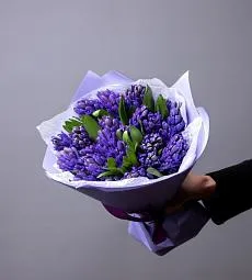 Букет из 25 синих гиацинтов
