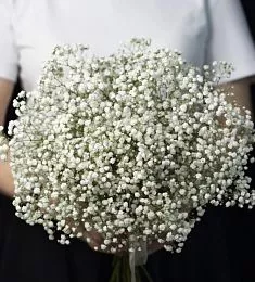 Букет невесты из 5 гипсофил