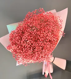 Букет из 15 красных гипсофил