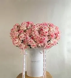 101 роза в коробку "Premium"