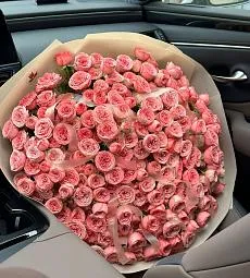 51 нежная пионовидная спрей роза