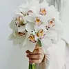 Букеты орхидей-кому