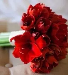 Букет невесты "Огниво" из Амариллиса