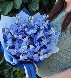 Букет из 11 дельфиниумов