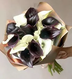 Букет из 17 черных и белых калл
