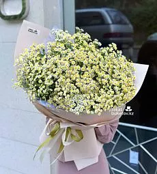 Букет "Ромашковое поле" с кустовой ромашкой