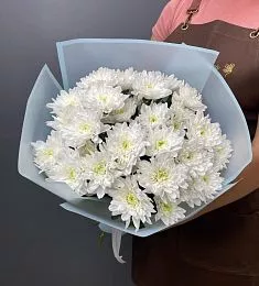 5 белых кустовых хризантем балтика