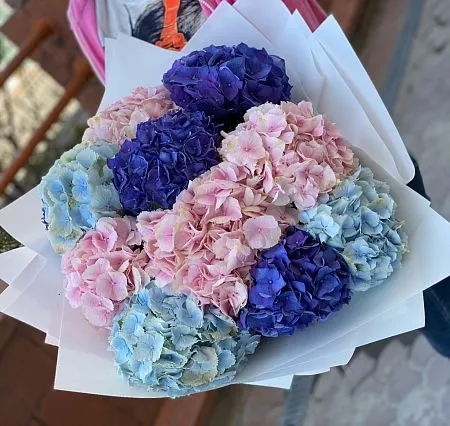 11 королевских гортензий в букете 2