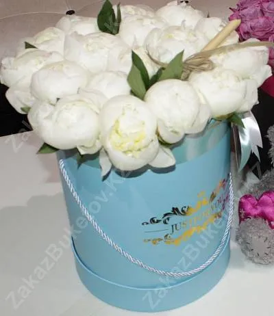 Голландские пионы в коробке Just for You 2