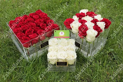 Голландские розы в стеклянной коробке maison des FLEURS 3