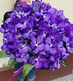 Букет из 81 фиолетовой орхидеи и рускуса