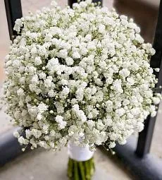 Букет невесты из 25 гипсофил