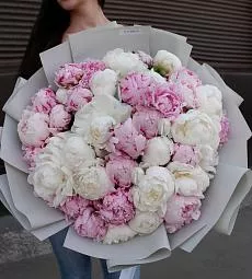 Букет из 45 нежных белых и розовых пионов
