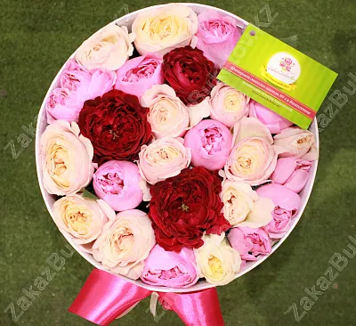 Голландские пионы в коробке Just for You 2