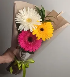 Букет из 3 гербер с рускусом