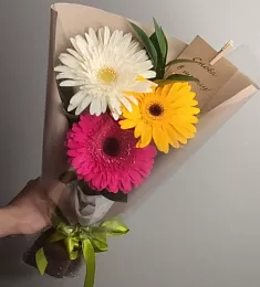 Букет из 3 гербер с рускусом