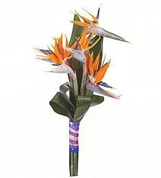 Букет "Огненный феникс"