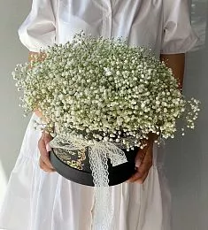 Букет "Pleasure" (S) из гипсофилы в коробке