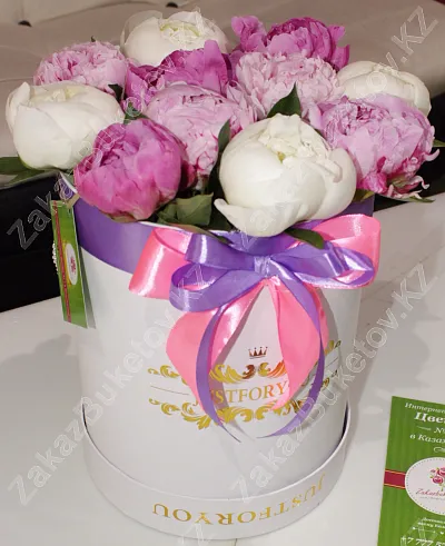 Голландские пионы в коробке Just for You 2