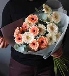 Букет из 17 гербер с эвкалиптом