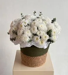 Композиция "Олив"