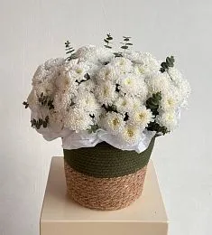 Композиция "Олив"