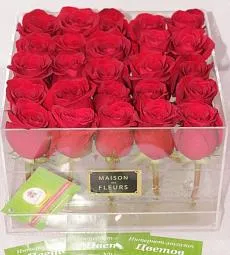 Голландские розы в стеклянной коробке maison des FLEURS