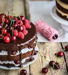 Торт "Шоколадный фонтан"