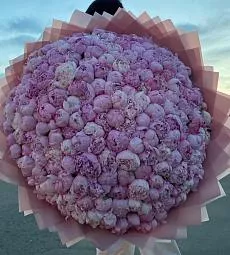 Букет из 251 пиона 