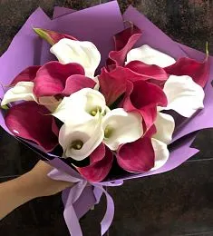 Букет из 19 красных и белых калл
