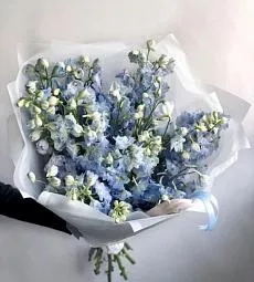 Букет из 25 дельфиниумов