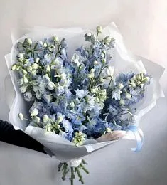 Букет из 25 дельфиниумов
