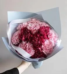 Букет из 11 гвоздик