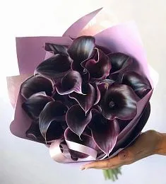 Букет из 19 черных калл