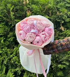 11 нежных голландских пионов в роскошном оформлении