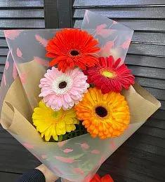 Букет из 5 ярких гербер микс