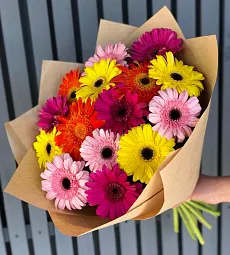 Букет из 15 ярких гербер микс